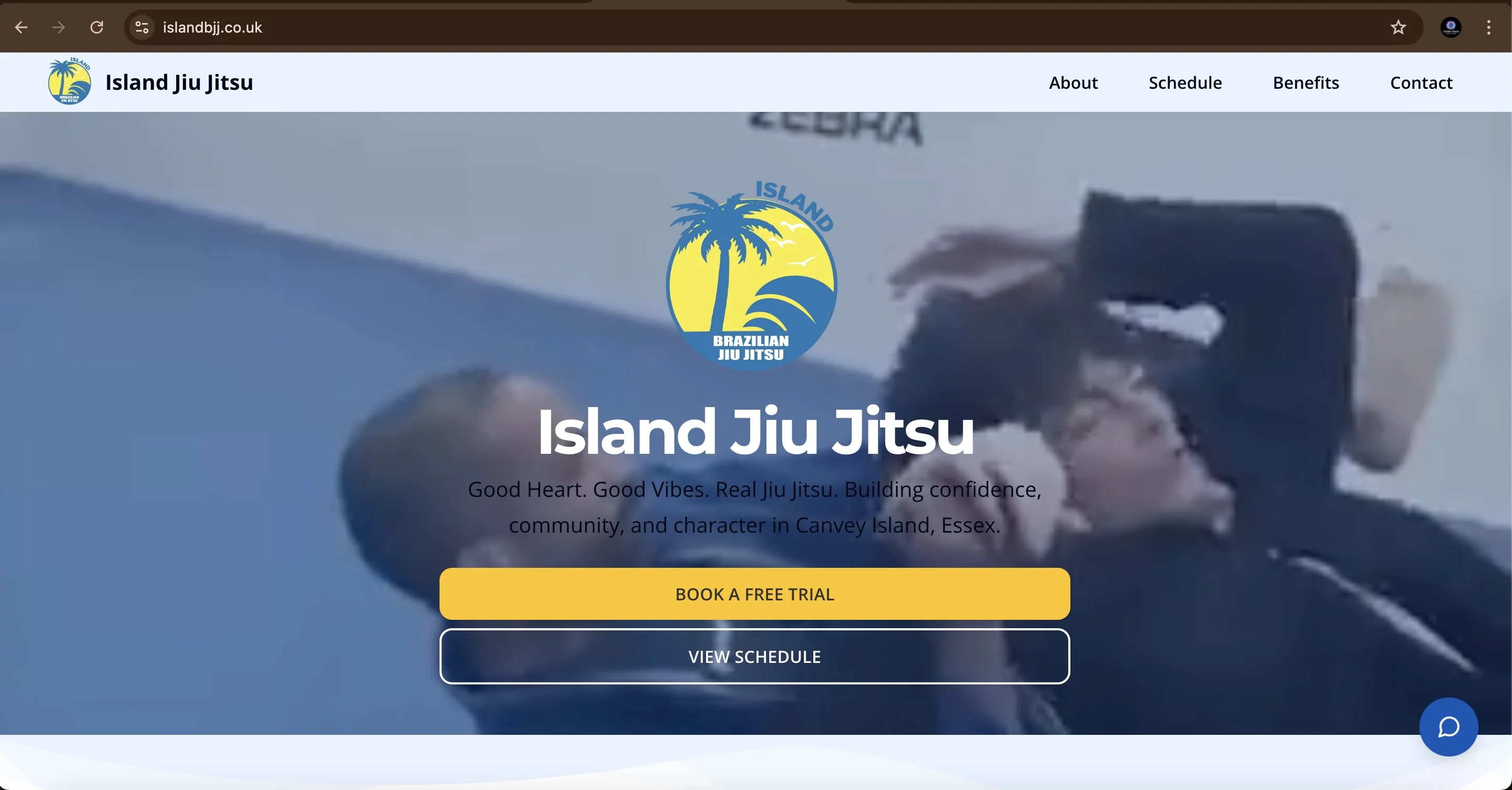 Island BJJ website